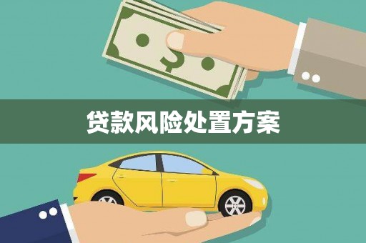 和政贷款风险处置方案