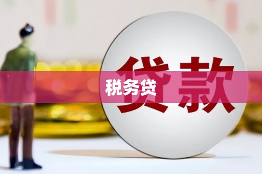 和政税务贷