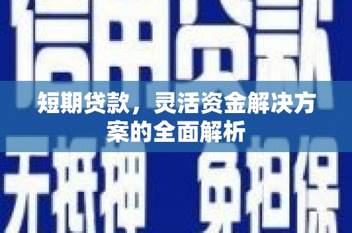 和政短期贷款，灵活资金解决方案的全面解析