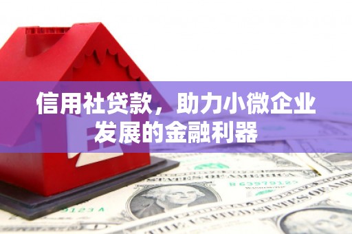 和政信用社贷款，助力小微企业发展的金融利器