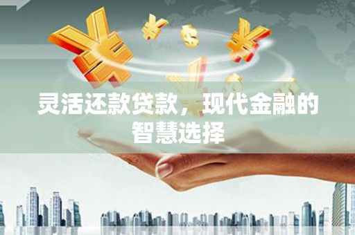 和政灵活还款贷款，现代金融的智慧选择