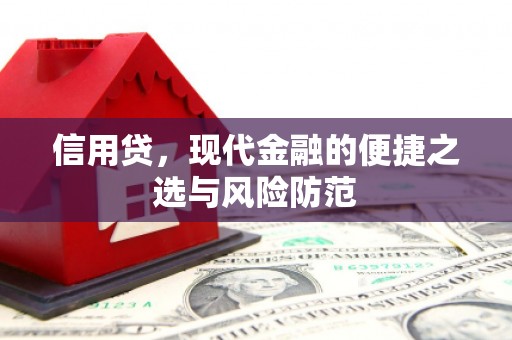 和政信用贷，现代金融的便捷之选与风险防范