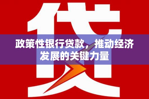 和政政策性银行贷款，推动经济发展的关键力量