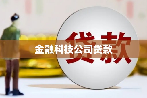 和政金融科技公司贷款
