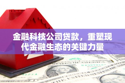 和政金融科技公司贷款，重塑现代金融生态的关键力量