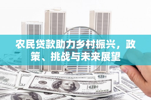 和政农民贷款助力乡村振兴，政策、挑战与未来展望