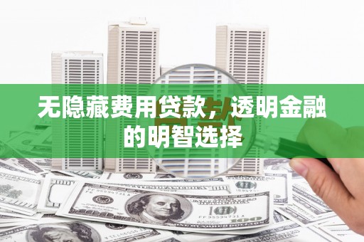 和政无隐藏费用贷款，透明金融的明智选择