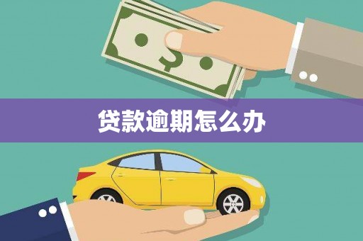 和政贷款逾期怎么办