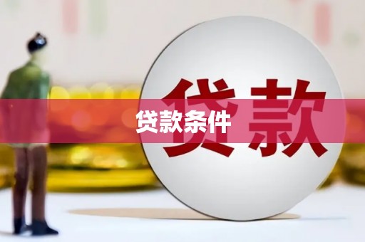 和政贷款条件