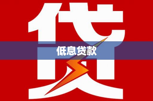 和政低息贷款