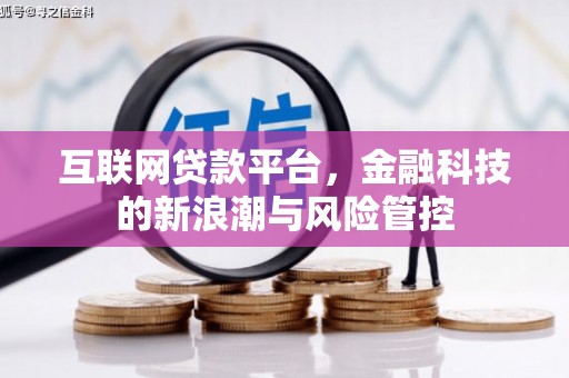 和政互联网贷款平台，金融科技的新浪潮与风险管控