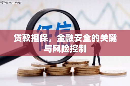 和政贷款担保，金融安全的关键与风险控制