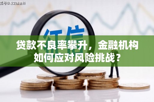 和政贷款不良率攀升，金融机构如何应对风险挑战？