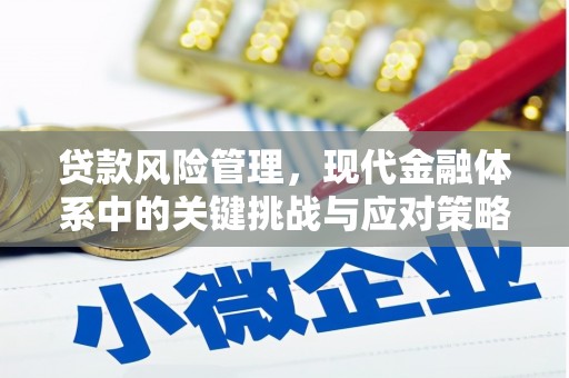 和政贷款风险管理，现代金融体系中的关键挑战与应对策略