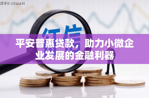 和政平安普惠贷款，助力小微企业发展的金融利器