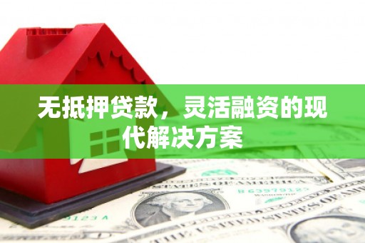 和政无抵押贷款，灵活融资的现代解决方案