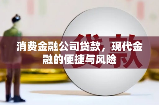 和政消费金融公司贷款，现代金融的便捷与风险
