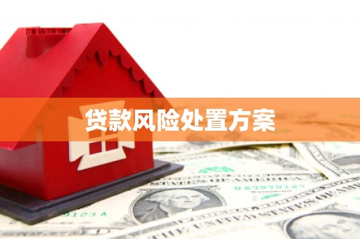 和政贷款风险处置方案